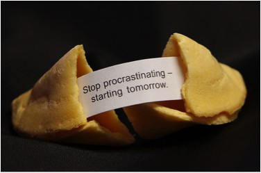 Fortune Cookie 1